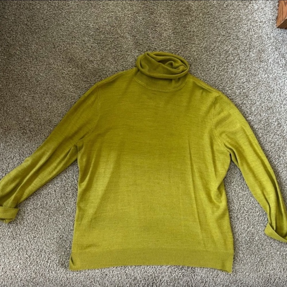 Size L, NY & Company light green turtle neck